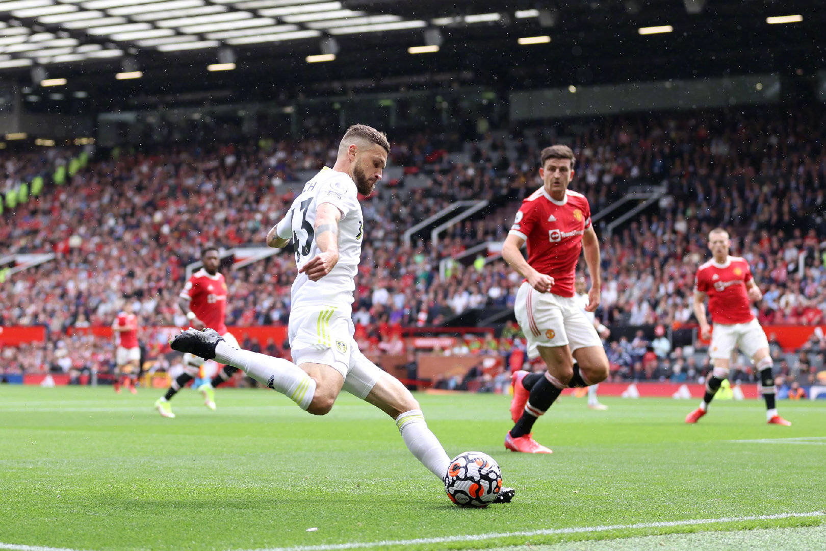 要尽全力利 要尽全力利